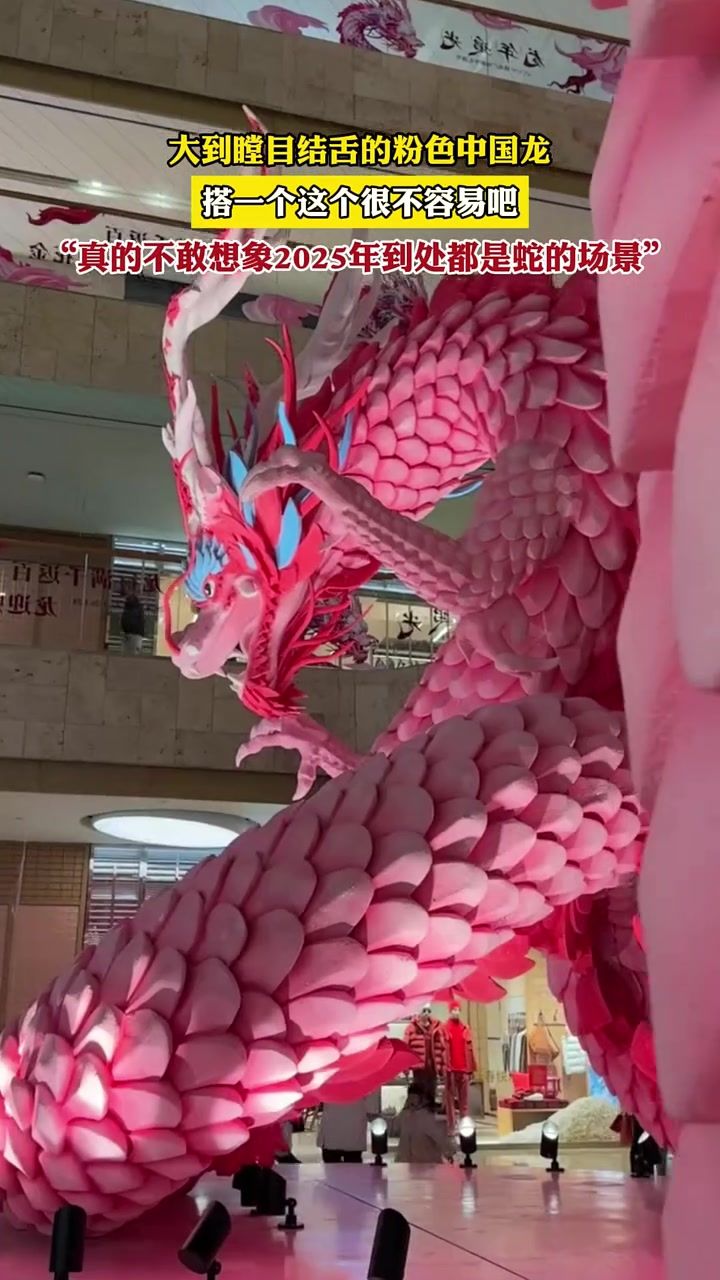 大到瞠目结舌的粉色中国龙,搭一个这个很不容易吧,"真的不敢想象2025