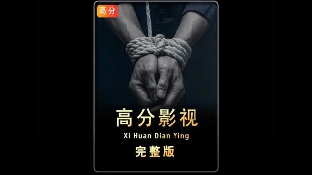 一口气看完高分电影《特工绍特》