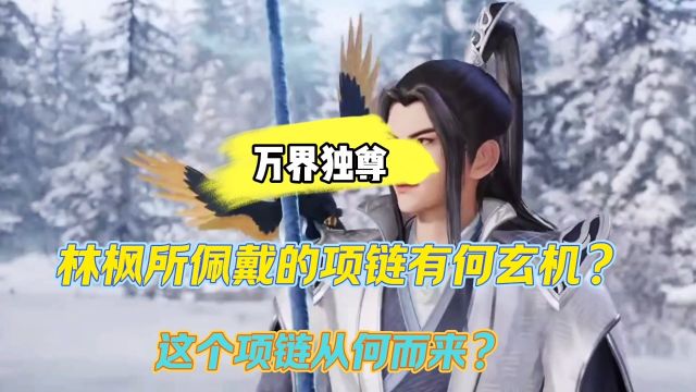 万界独尊:林枫所佩戴的项链有何玄机?这个项链从何而来?