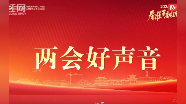 两会好声音丨陈丽萍:彰显文化之韵 赋能乡村振兴