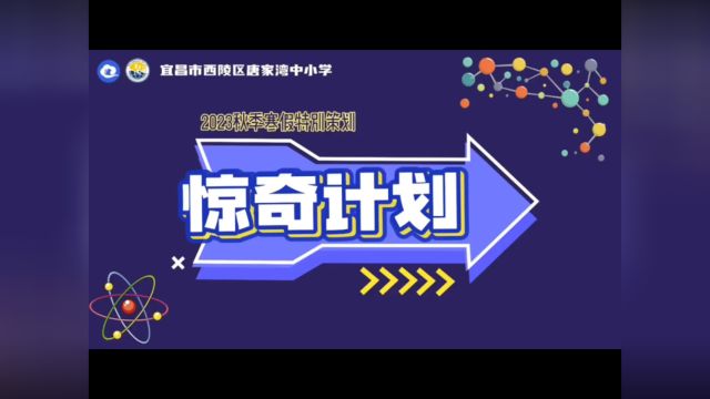 宜昌市西陵区唐家湾中小学惊奇计划