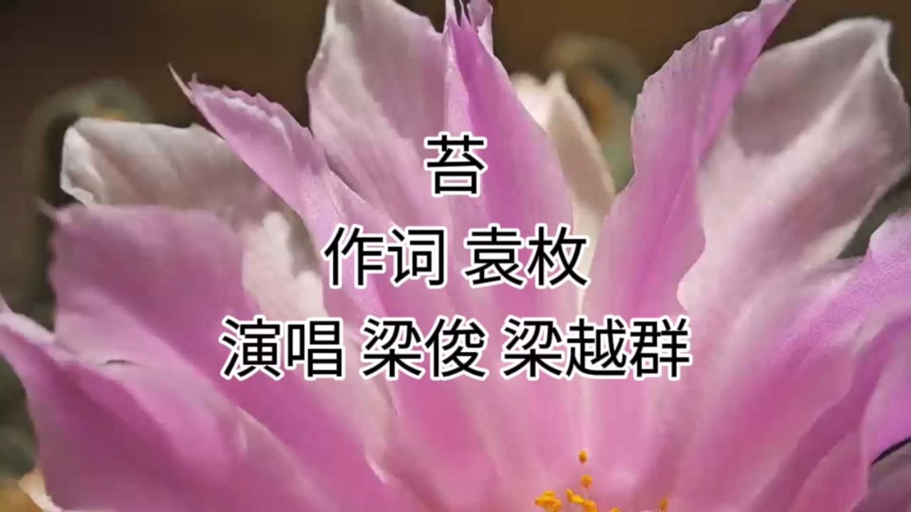 经典咏流传