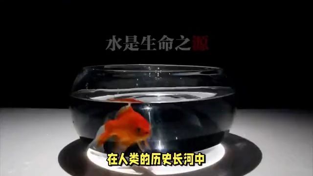 水生命之殇