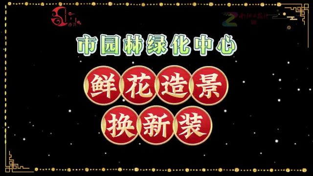 南阳市园林绿化中心在城区精心布置,以鲜花造景为城市换上新装!