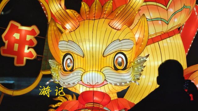 新年灯会、喜迎龙年绣湖公园