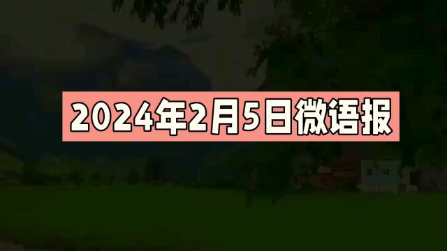 2024年2月5日微语报