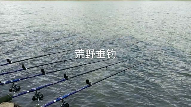 荒野垂钓挑战巨物户外野钓 纵横江湖 记录生活 分享野钓中的美好 点个免费的关注交个朋友