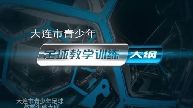 《大连市青少年足球教学训练大纲》推广普及系列之二——足球从娃娃抓起