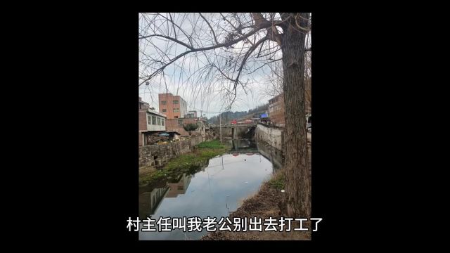 村主任叫我老公别出去打工了,说我老公算村里文化高点的,正是现实村里需要的人才