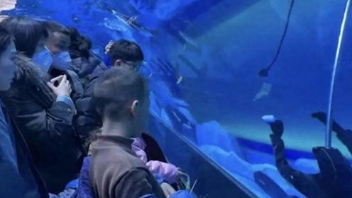 海昌海洋公园通报潜水员在馆内溺亡：进行保洁工作时溺水，抢救无效离世