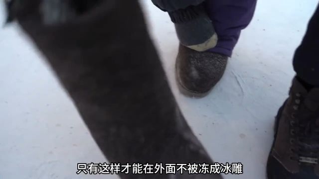 世界上最冷的城市,你知道是哪里吗?俄罗斯寒冷