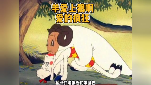 羊爱上狼的故事