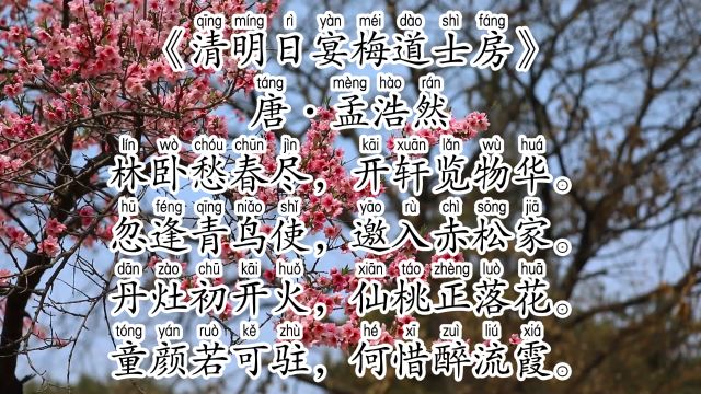 《清明日宴梅道士房 》唐ⷥퟦ𕩧„𖀀