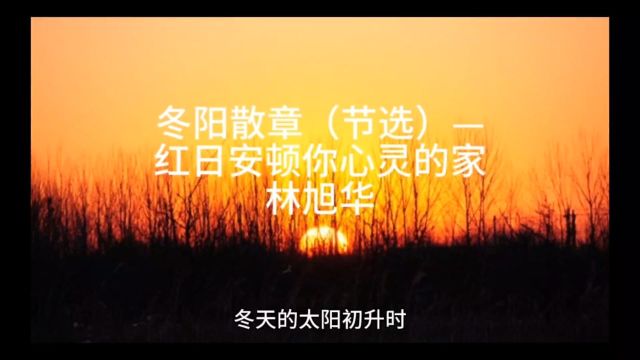 林旭华《冬阳散章》(散文)节选