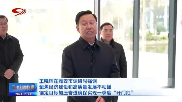 王晓晖在雅安市调研时强调:聚焦经济建设和高质量发展不动摇,锚定目标、加压奋进,确保实现一季度“开门红”