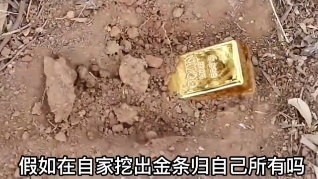 自己家院子里挖出来的金条归自己所有吗?小小科学家涨知识每天跟我涨知识