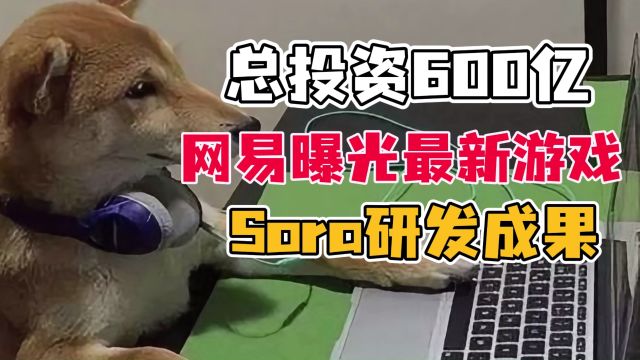 总投资600亿,网易曝光最新游戏“Sora”研发成果