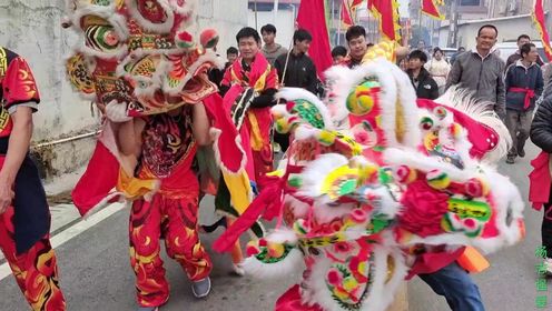 元宵节快乐，广东省惠州市惠城区赤岗候王官出游，舞麒麟，快乐一天，风俗文化传承