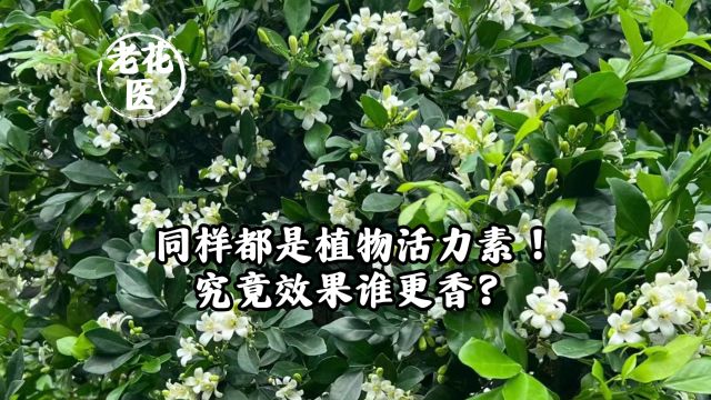 同样都是植物活力素!究竟效果谁更香?