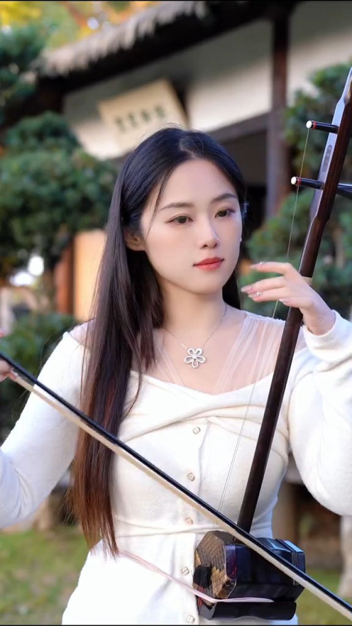 二胡我不想说我不能没有你的世界