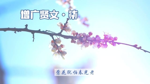 增广贤文ⷦŸ’上