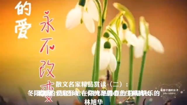 散文名家精品赏读(二):林旭华《冬阳散章》(节选4)——阳光是善意的,你是快乐的