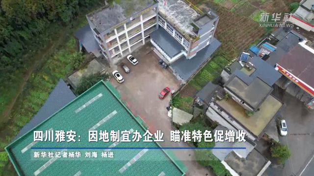 四川雅安:因地制宜办企业 瞄准特色促增收