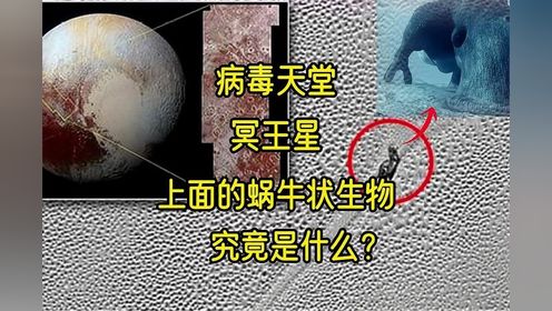 冥王星有多恐怖？新视野号拍到的“巨型蜗牛”究竟是什么？,科学,空间探索,好看视频