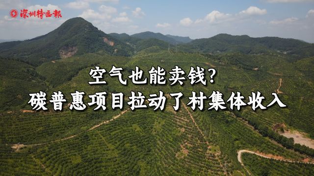 深河携手 振兴乡村丨空气也能卖钱?碳普惠项目拉动了村集体经济