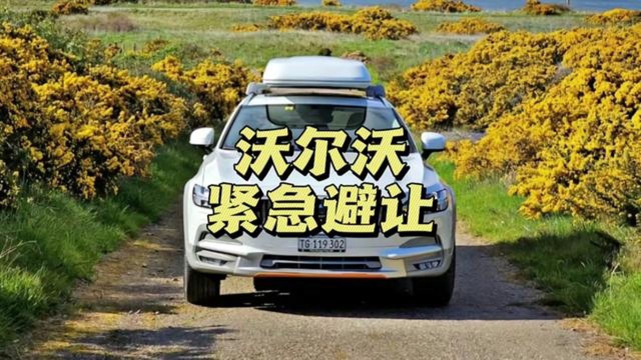 沃尔沃 #自动避让