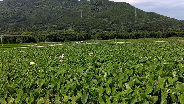 旖旎风光钟山县,骆林喜的故乡