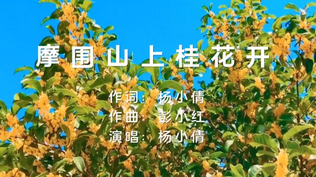 摩围山上桂花开(杨小倩词 彭小红曲 杨小倩演唱)