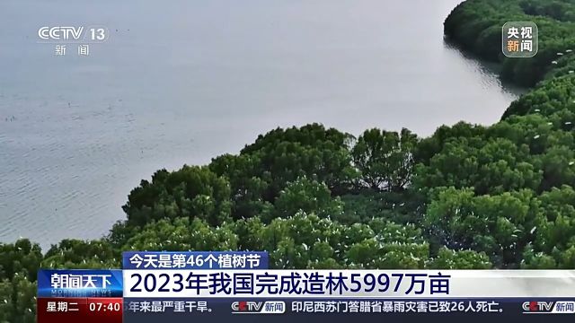 人工林面积世界第一!世界近20年增绿的四分之一都由中国贡献