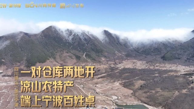 一对仓库两地开 凉山农特产端上宁波百姓桌|与中国合拍②