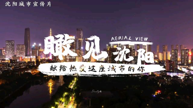 沈阳城市宣传片《瞰见沈阳》,献给热爱这座城市的你.