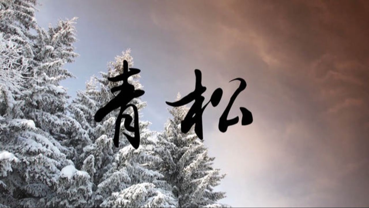 古诗——青松朗诵配乐背景视频