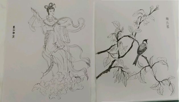 工笔白描,仕女,花鸟线描步骤图片分享