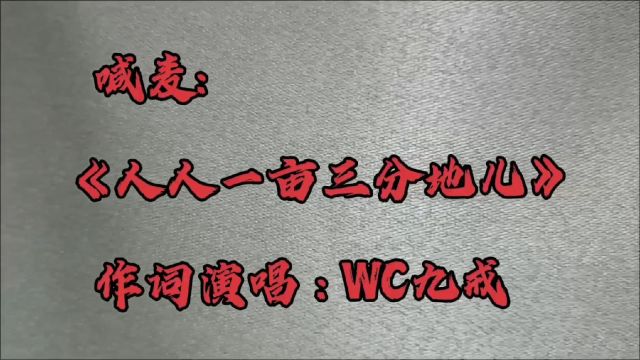 喊麦:《人人一亩三分地儿》作词演唱:WC九戒