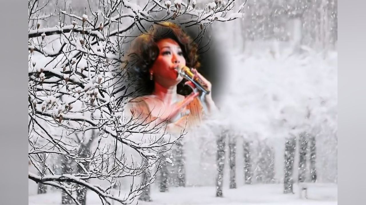 经典歌曲欣赏:苏芮《冬天的故事》,音乐,民俗音乐,好看视频