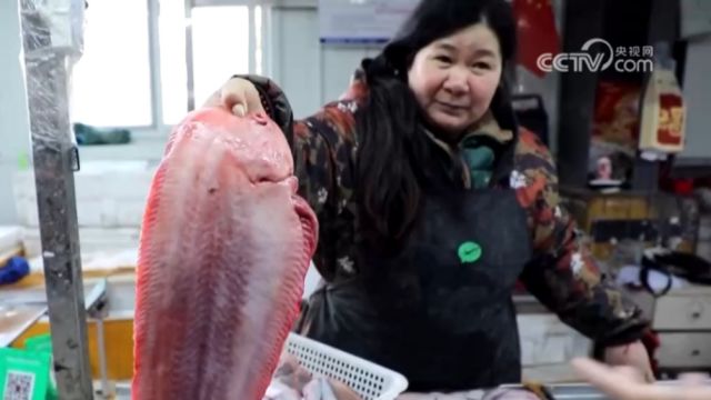 春来食味鲜,山东青岛:海鲜大量上市,尝鲜正当时