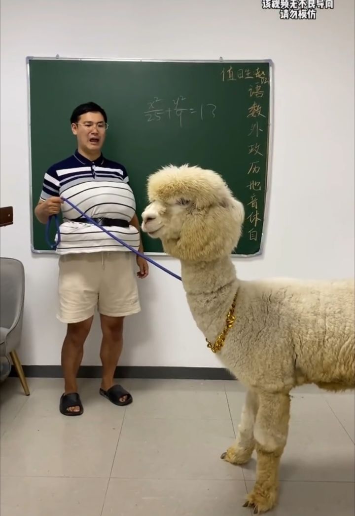 脱缰凯这集真能装!