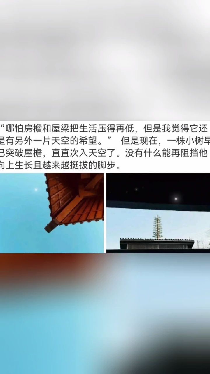 【肖战】"哪怕是房檐跟屋梁把生活压得再低,我觉得还是有另外一片天空