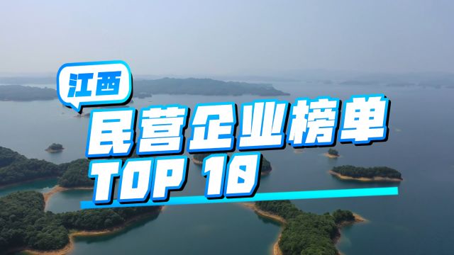 江西十大民营企业营收排行榜,南昌6席,上饶、新余、鹰潭和吉安各1席