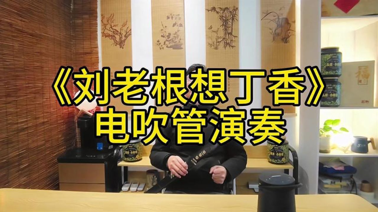 《刘老根想丁香》电吹管演奏,思绪惆怅!