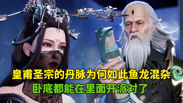 逆天至尊:皇甫圣宗的丹脉为何如此鱼龙混杂?卧底都能在里面开派对了!