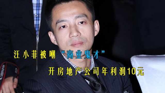 被嘲“商业鬼才”?汪小菲开公司年利润10元!网友:麻六记可以的