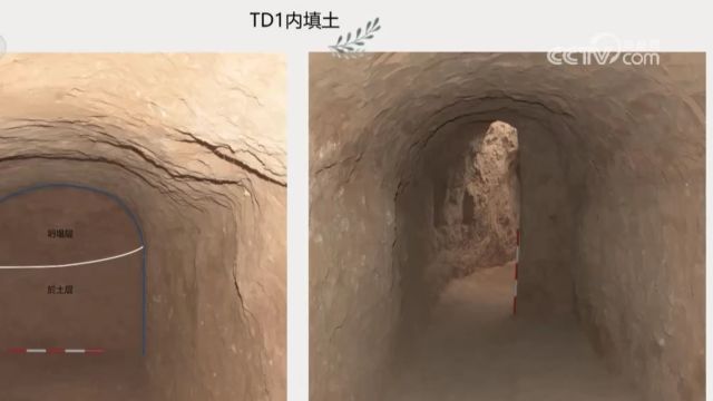 2023年全国十大考古新发现参评项目,龙山时期石头城:内蒙古后城咀遗址