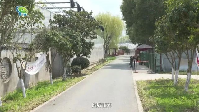 一次满足多元体验,休闲农业“风景”正好