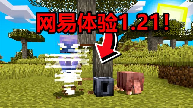 网易我的世界体验1.21!犰狳和狼铠来了!