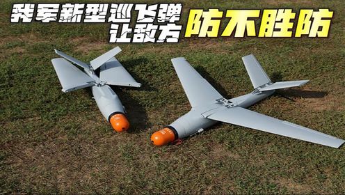 我军新型巡飞弹，空中游荡的弹药，让敌方防不胜防_高清1080P在线观看平台_腾讯视频